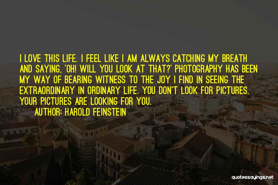 Find Joy In Your Life Quotes By Harold Feinstein