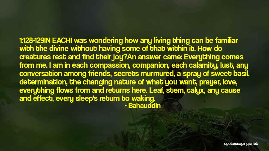 Find Me In Nature Quotes By Bahauddin Find Me In Nature Quotes By Bahauddin