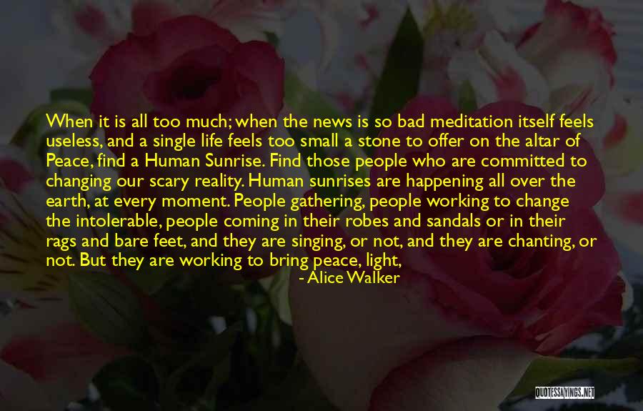 Find Peace In Life Quotes By Alice Walker Find Peace In Life Quotes By Alice Walker