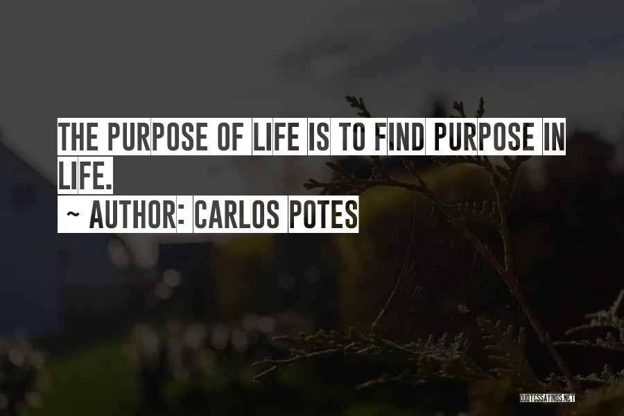 Find Purpose In Life Quotes By Carlos Potes