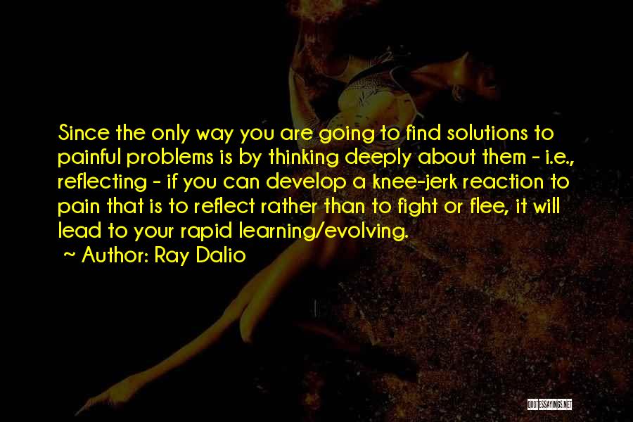 Find Solutions Not Problems Quotes By Ray Dalio