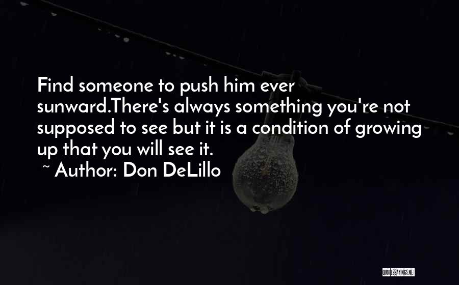 Find Someone That Quotes By Don DeLillo