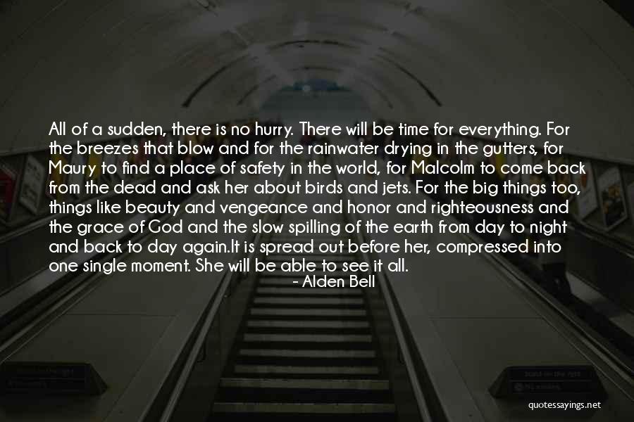 Find The Beauty Quotes By Alden Bell