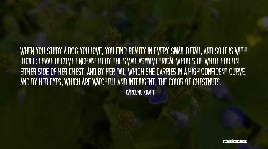 Find The Beauty Quotes By Caroline Knapp