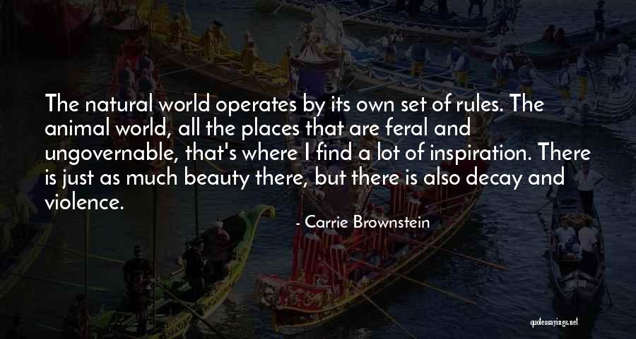 Find The Beauty Quotes By Carrie Brownstein