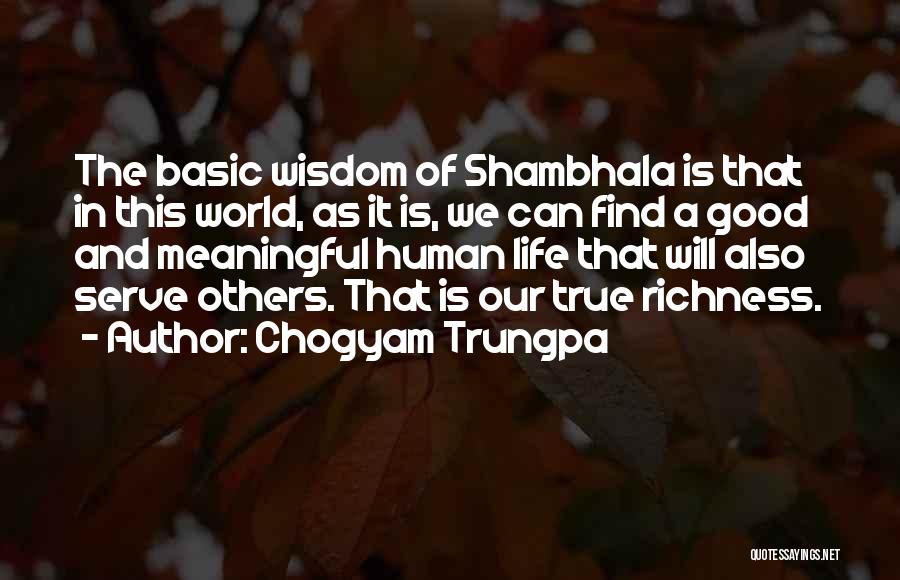 Find The Good In Others Quotes By Chogyam Trungpa