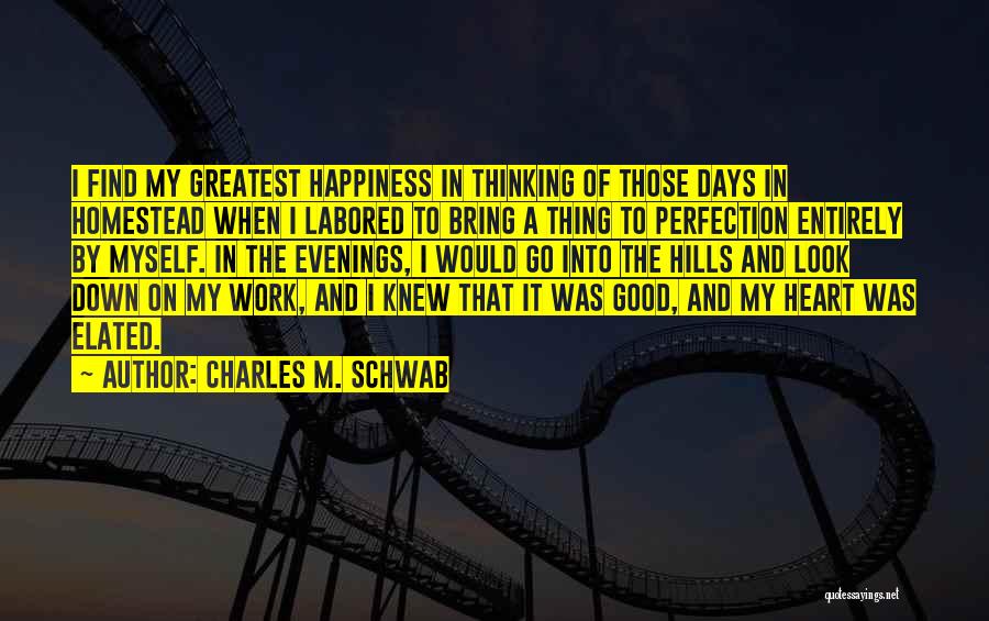 Find The Happiness Quotes By Charles M. Schwab