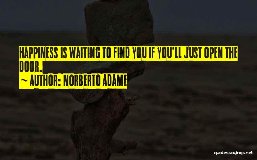 Find The Happiness Quotes By Norberto Adame
