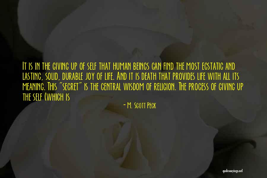 Find The Joy In Life Quotes By M. Scott Peck Find The Joy In Life Quotes By M. Scott Peck