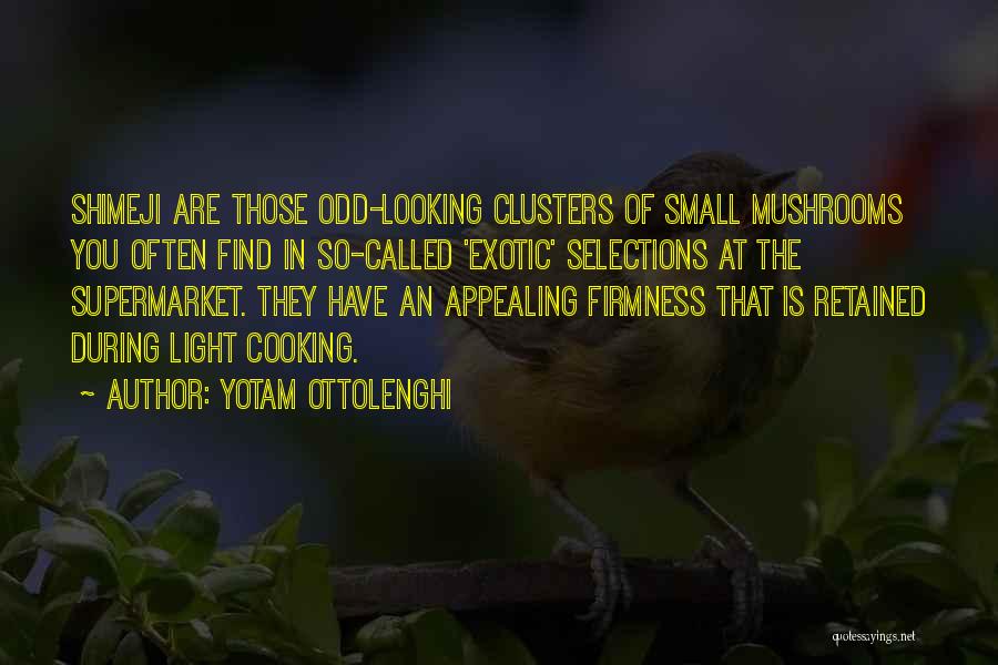 Find The Light Quotes By Yotam Ottolenghi