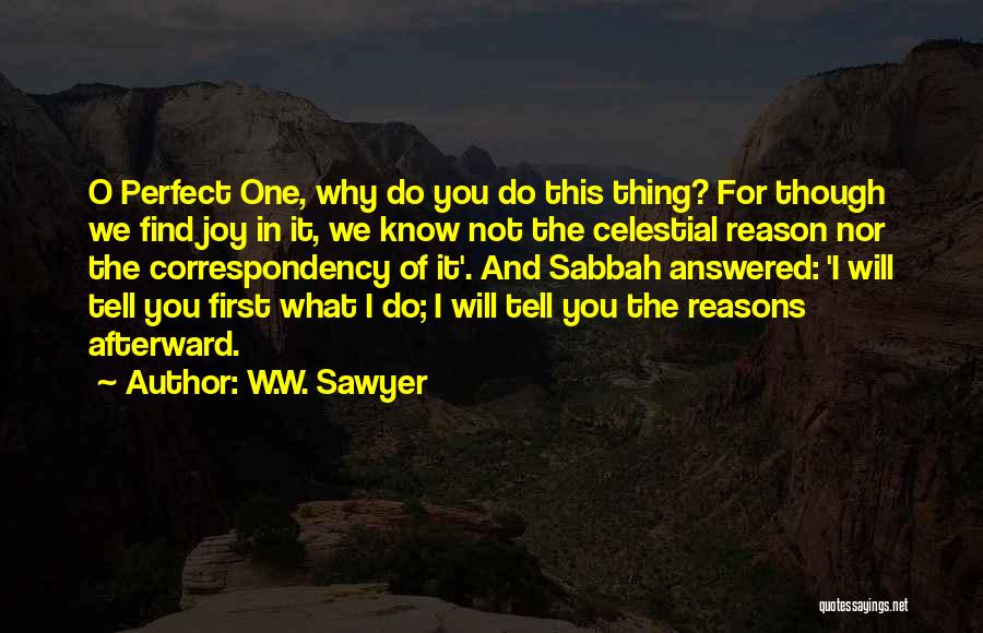 Find The Perfect One Quotes By W.W. Sawyer