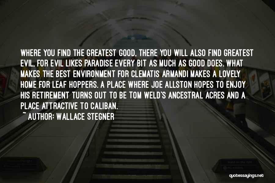 Find You Attractive Quotes By Wallace Stegner