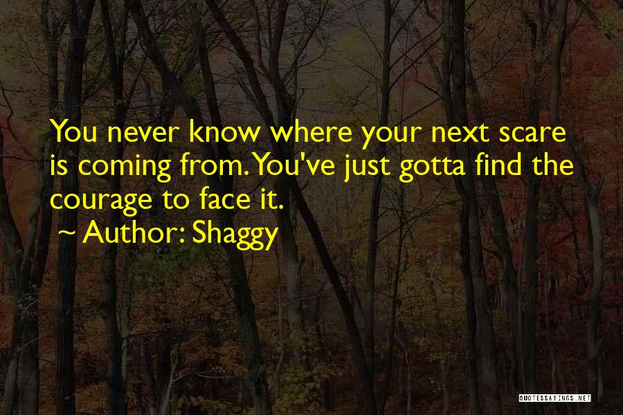 Find Your Courage Quotes By Shaggy