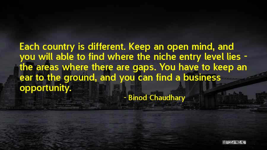Find Your Niche Quotes By Binod Chaudhary Find Your Niche Quotes By Binod Chaudhary