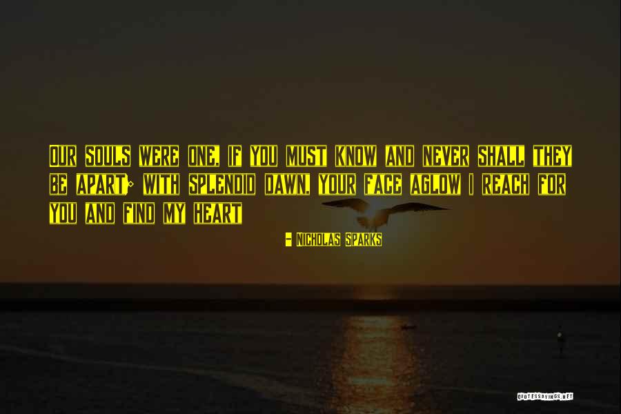 Find Your Passion Quotes By Nicholas Sparks Find Your Passion Quotes By Nicholas Sparks