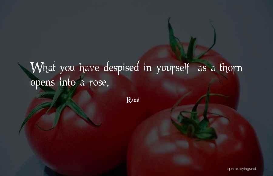 Finding A Decent Girl Quotes By Rumi Finding A Decent Girl Quotes By Rumi