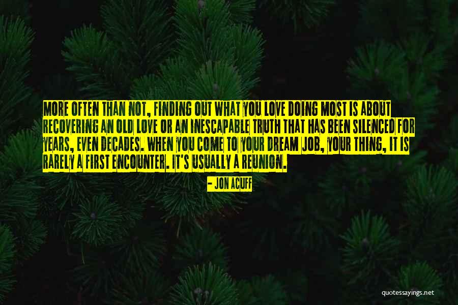 Finding A Job You Love Quotes By Jon Acuff