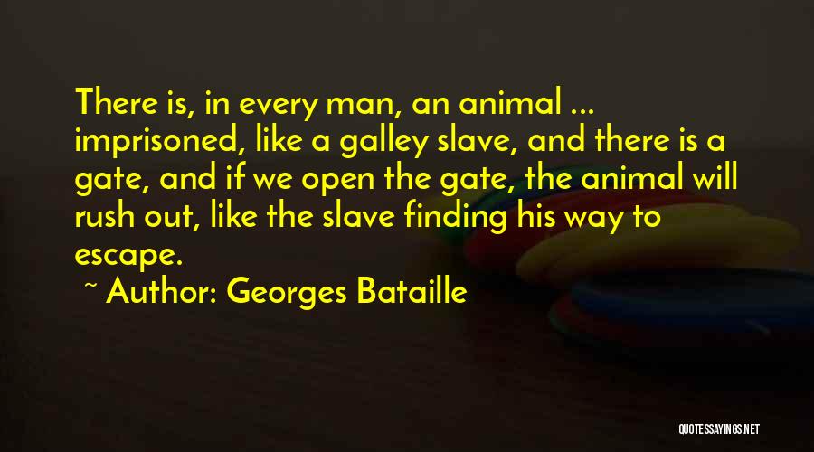 Finding A Way Out Quotes By Georges Bataille