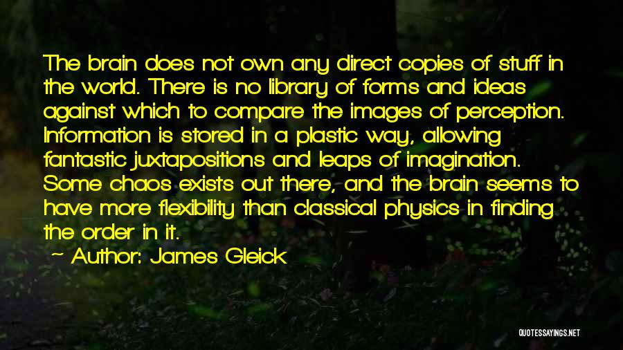 Finding A Way Out Quotes By James Gleick