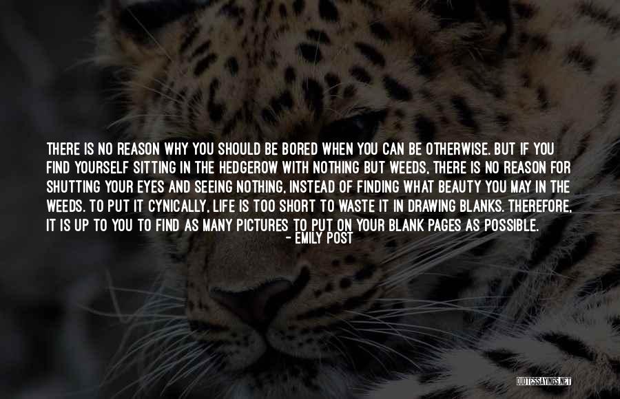 Finding Beauty In Yourself Quotes By Emily Post Finding Beauty In Yourself Quotes By Emily Post