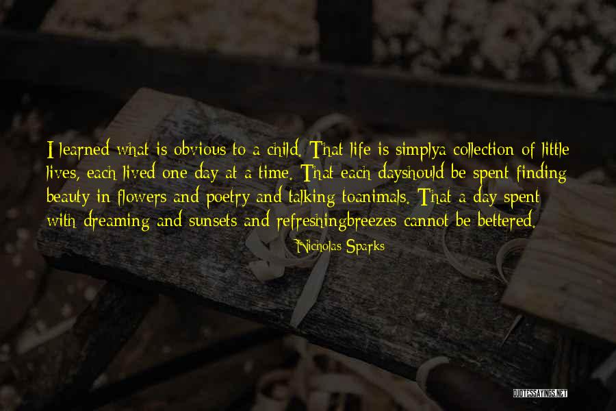 Finding Beauty Quotes By Nicholas Sparks Finding Beauty Quotes By Nicholas Sparks