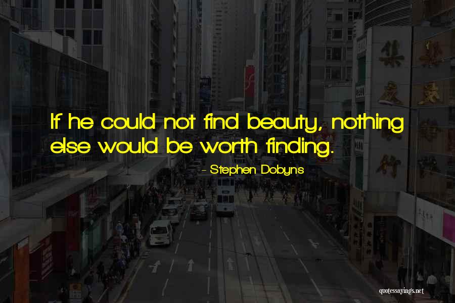 Finding Beauty Quotes By Stephen Dobyns Finding Beauty Quotes By Stephen Dobyns
