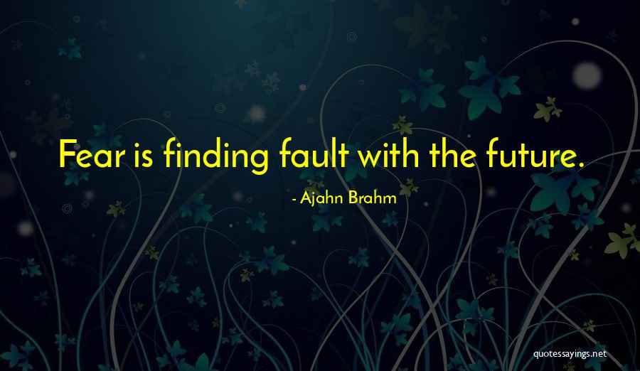 Finding Faults In Others Quotes By Ajahn Brahm Finding Faults In Others Quotes By Ajahn Brahm