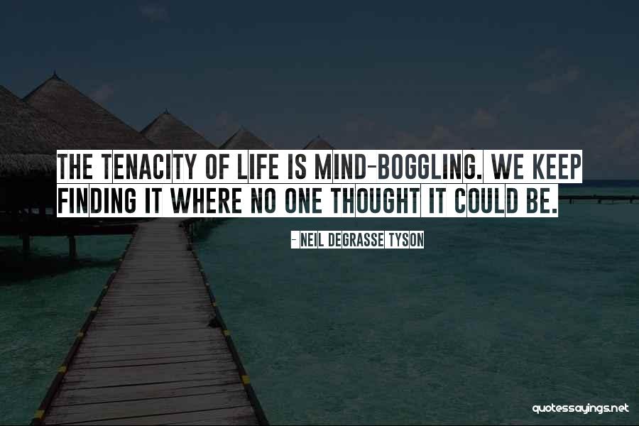 Finding It Quotes By Neil DeGrasse Tyson Finding It Quotes By Neil DeGrasse Tyson