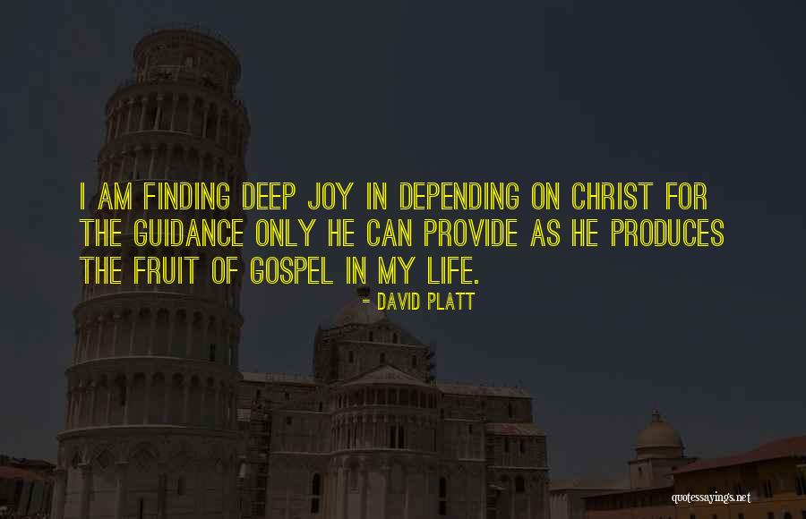 Finding Joy In Life Quotes By David Platt