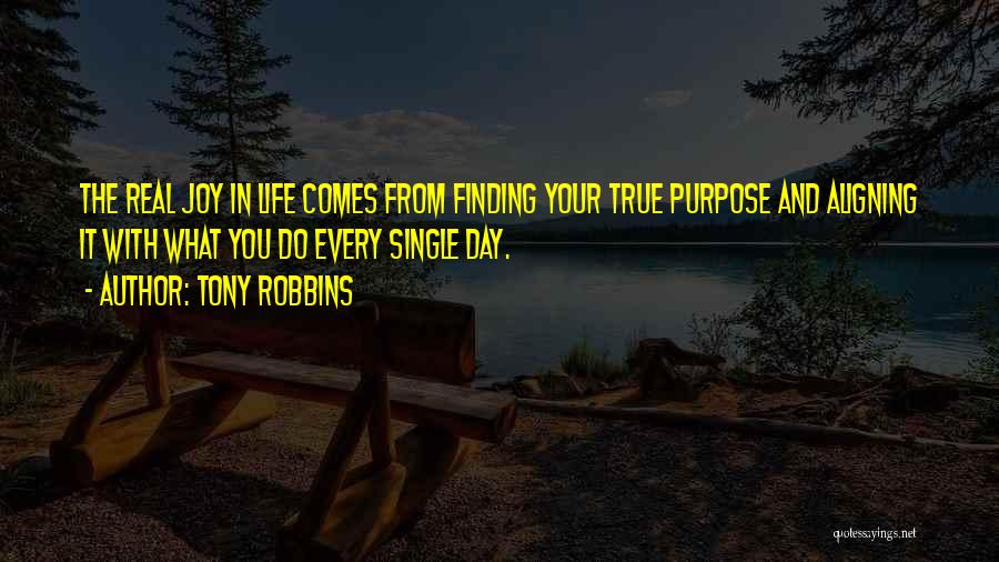 Finding Joy In Life Quotes By Tony Robbins