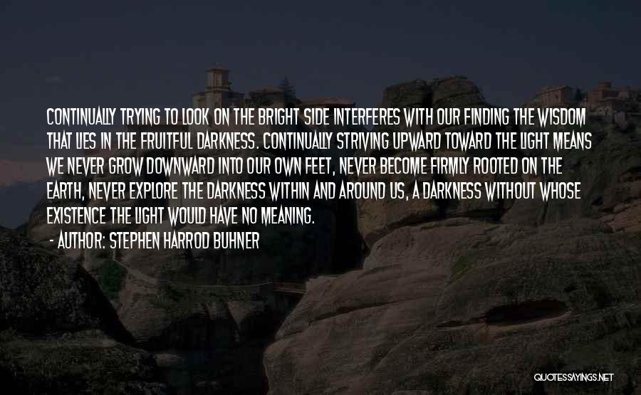 Finding Light Within Quotes By Stephen Harrod Buhner