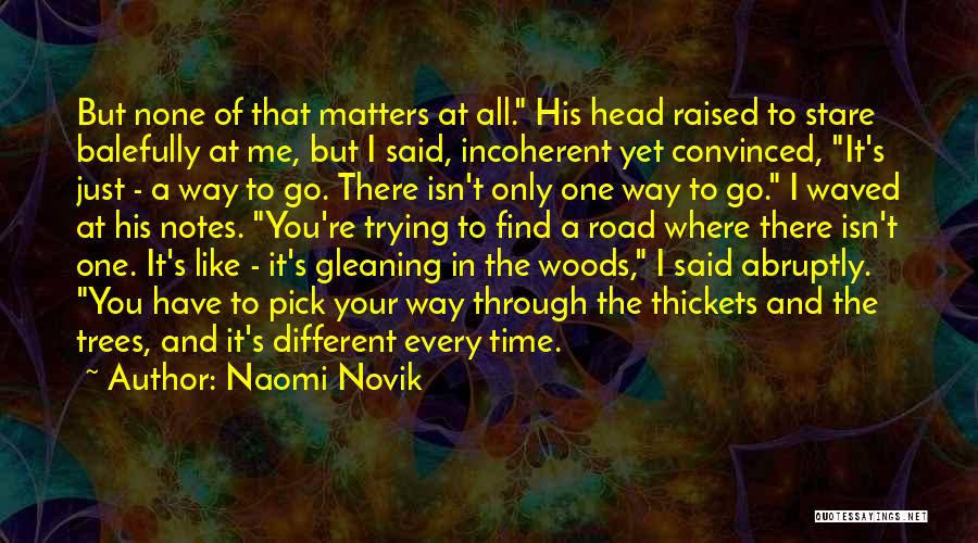 Finding My Balance Quotes By Naomi Novik