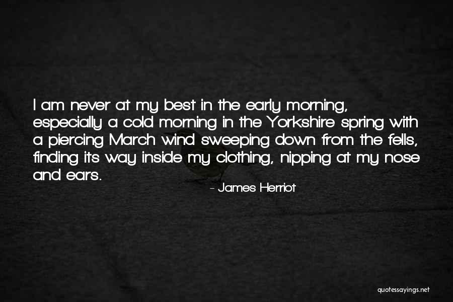 Finding My Way Quotes By James Herriot