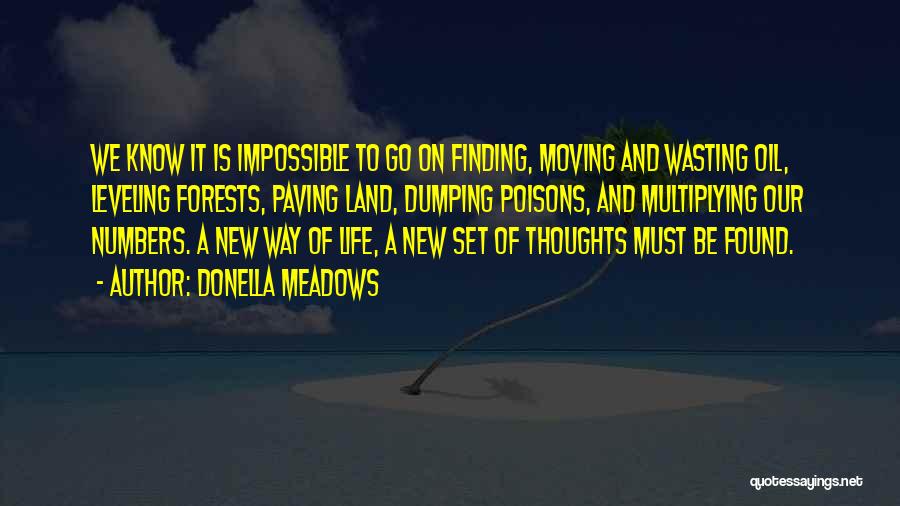Finding New Life Quotes By Donella Meadows