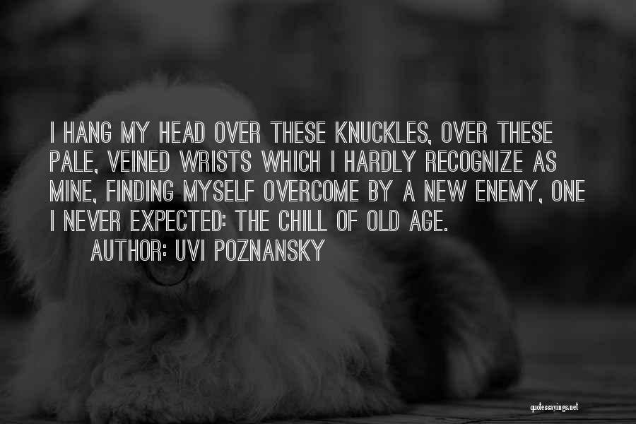 Finding New One Quotes By Uvi Poznansky