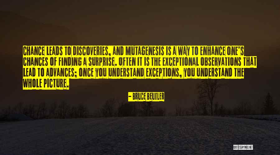 Finding One S Way Quotes By Bruce Beutler Finding One S Way Quotes By Bruce Beutler