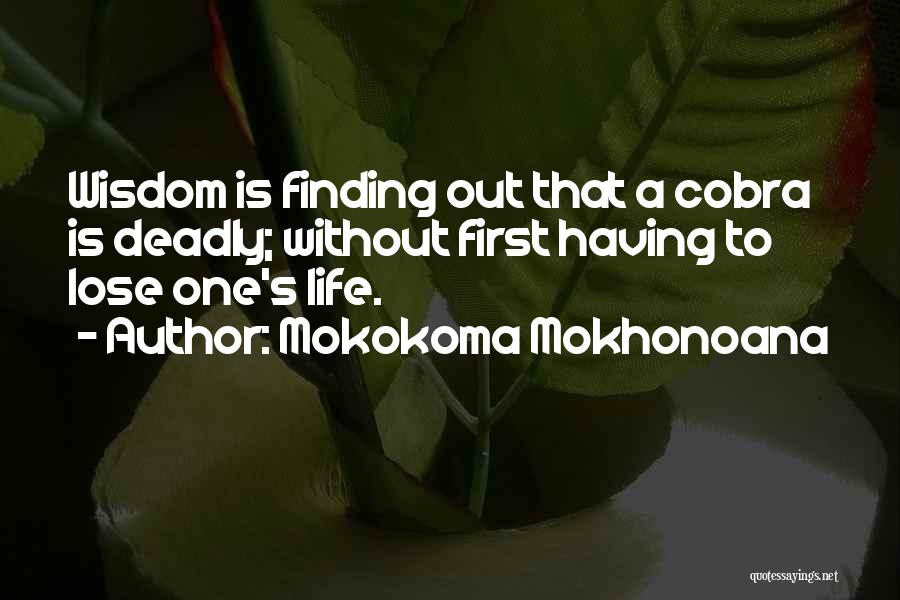 Finding One's Way In Life Quotes By Mokokoma Mokhonoana