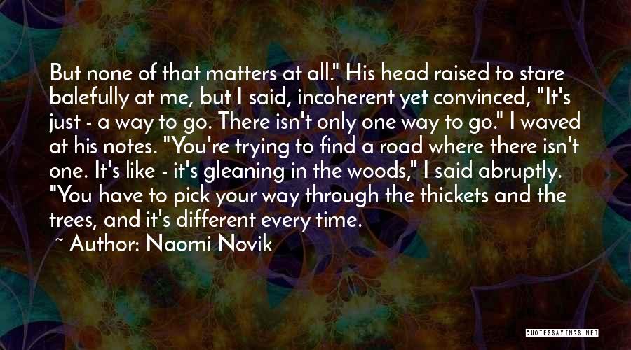 Finding One's Way In Life Quotes By Naomi Novik