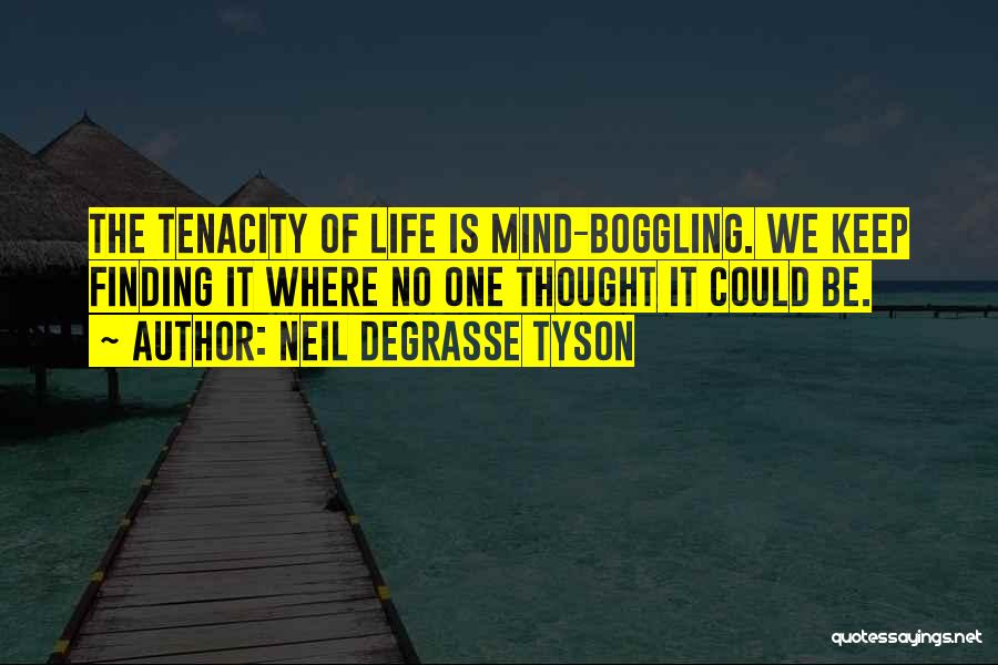 Finding One's Way In Life Quotes By Neil DeGrasse Tyson