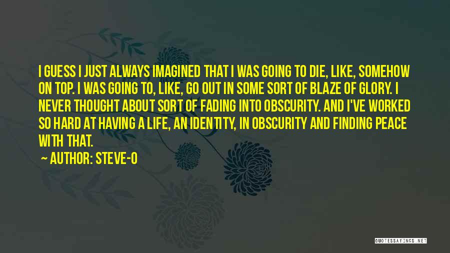 Finding Peace In Life Quotes By Steve-O