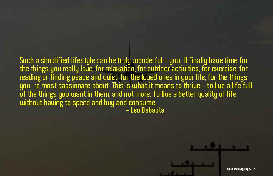 Finding Peace In Your Life Quotes By Leo Babauta