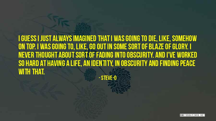 Finding Peace In Your Life Quotes By Steve-O