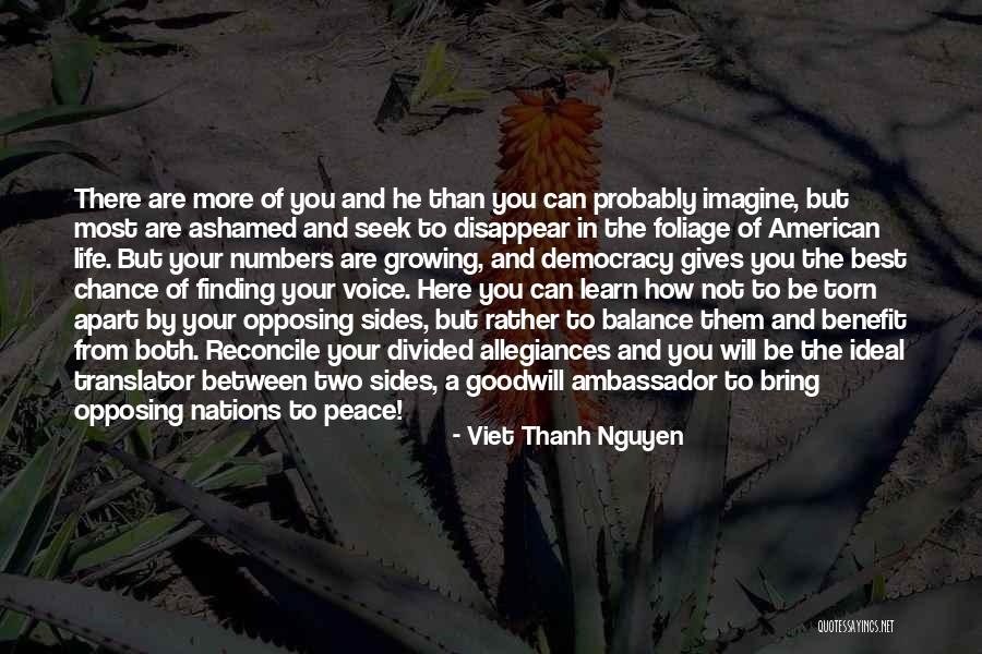 Finding Peace In Yourself Quotes By Viet Thanh Nguyen