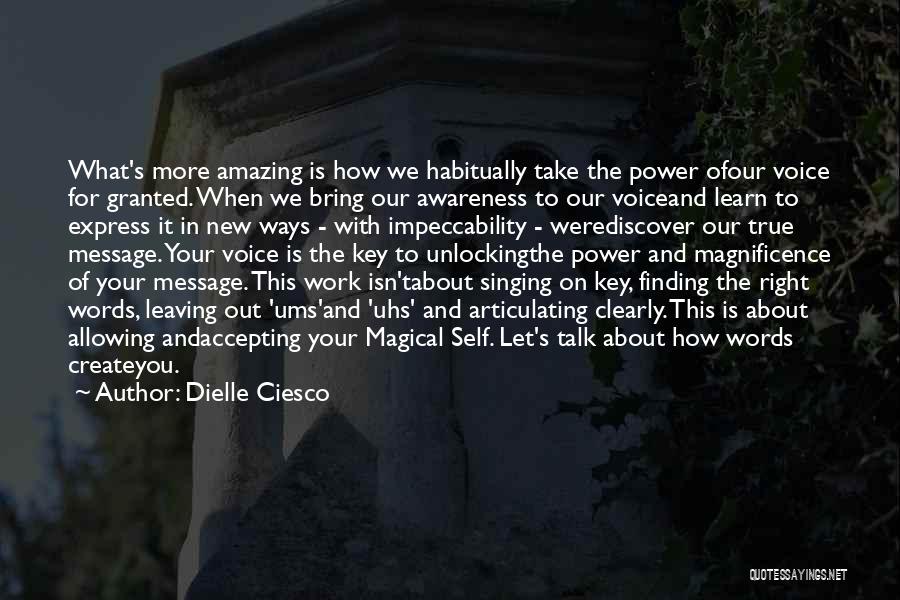 Finding Something Amazing Quotes By Dielle Ciesco