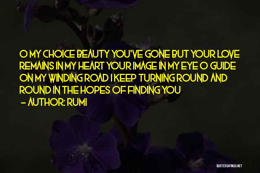 Finding The Beauty Within Quotes By Rumi