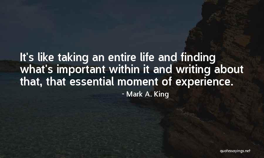 Finding The Important Thing Quotes By Mark A. King Finding The Important Thing Quotes By Mark A. King