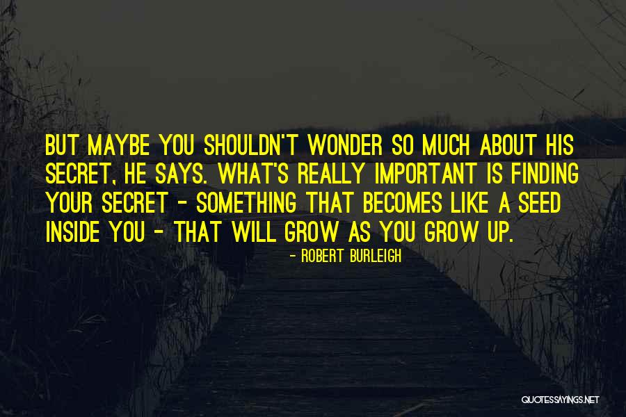 Finding The Important Thing Quotes By Robert Burleigh Finding The Important Thing Quotes By Robert Burleigh