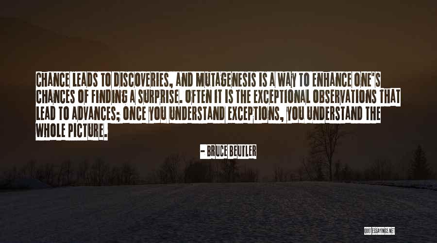 Finding The One Picture Quotes By Bruce Beutler Finding The One Picture Quotes By Bruce Beutler