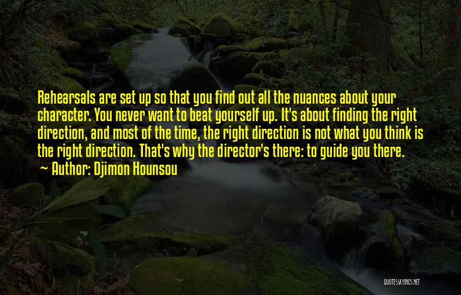Finding The Right Direction Quotes By Djimon Hounsou