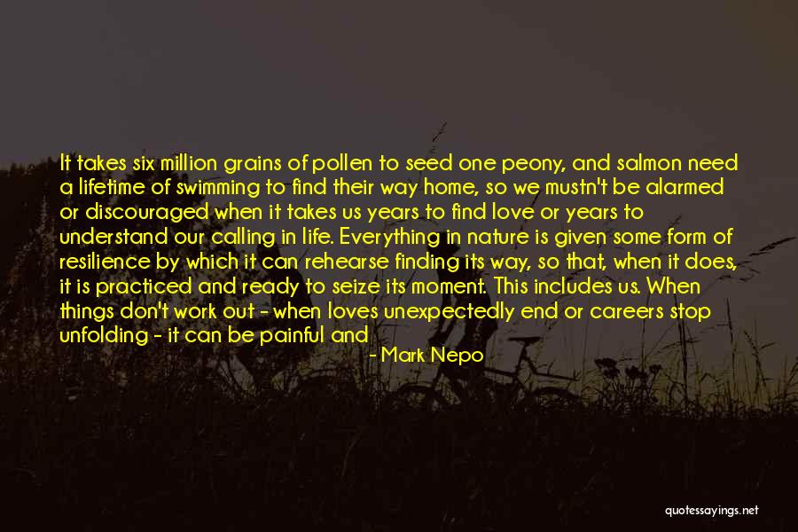 Finding Things Out Quotes By Mark Nepo